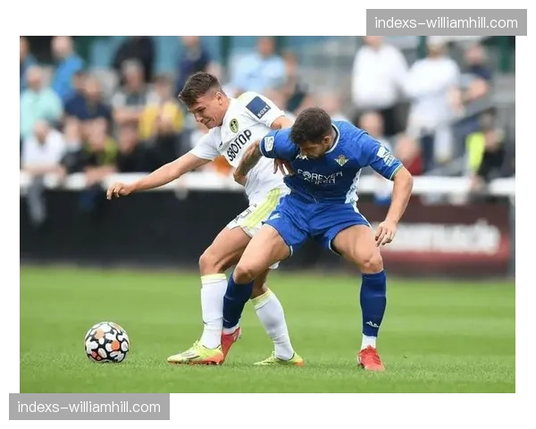 桑德兰主场15场失14球相对稳固，莫布雷立足防守